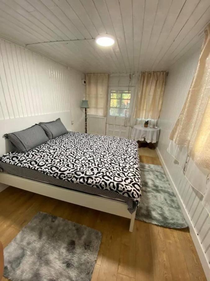 Casa Parvu Hotel Lunca Mare Ngoại thất bức ảnh