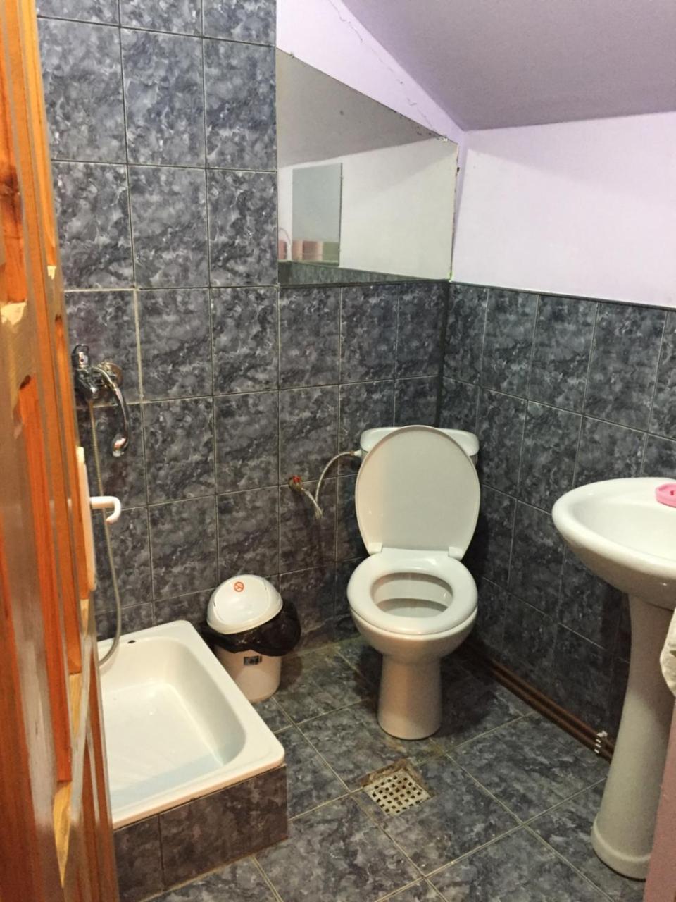 Casa Parvu Hotel Lunca Mare Ngoại thất bức ảnh