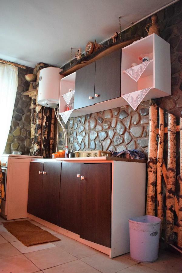 Casa Parvu Hotel Lunca Mare Ngoại thất bức ảnh