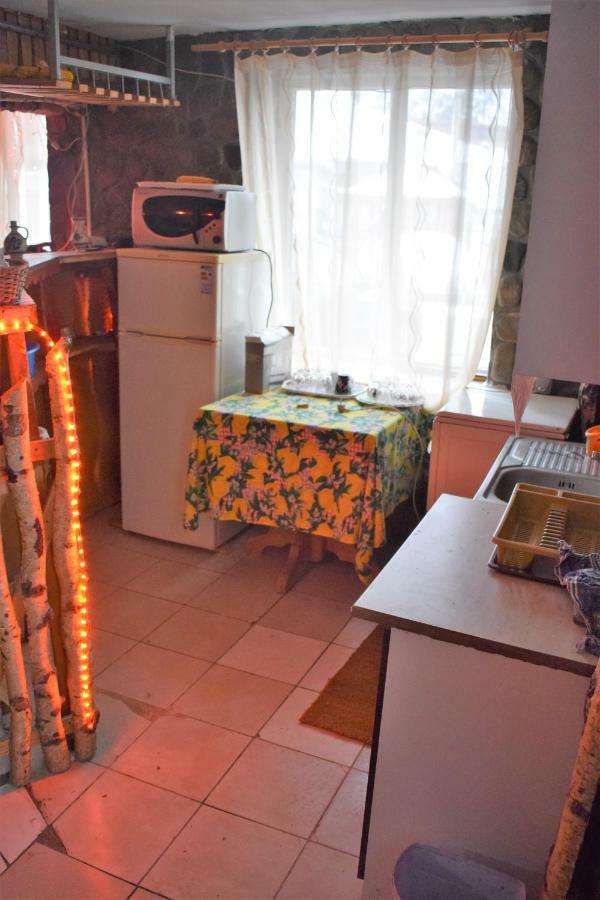 Casa Parvu Hotel Lunca Mare Ngoại thất bức ảnh